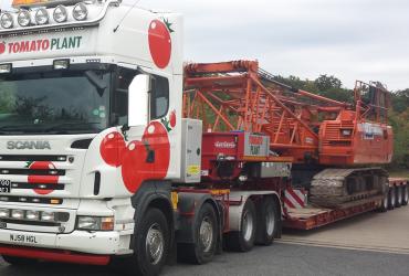 Tomato Plant | Plant Division, 4 Axle Arctic to 86T | Iver, Buckinghamshire & London image 1
