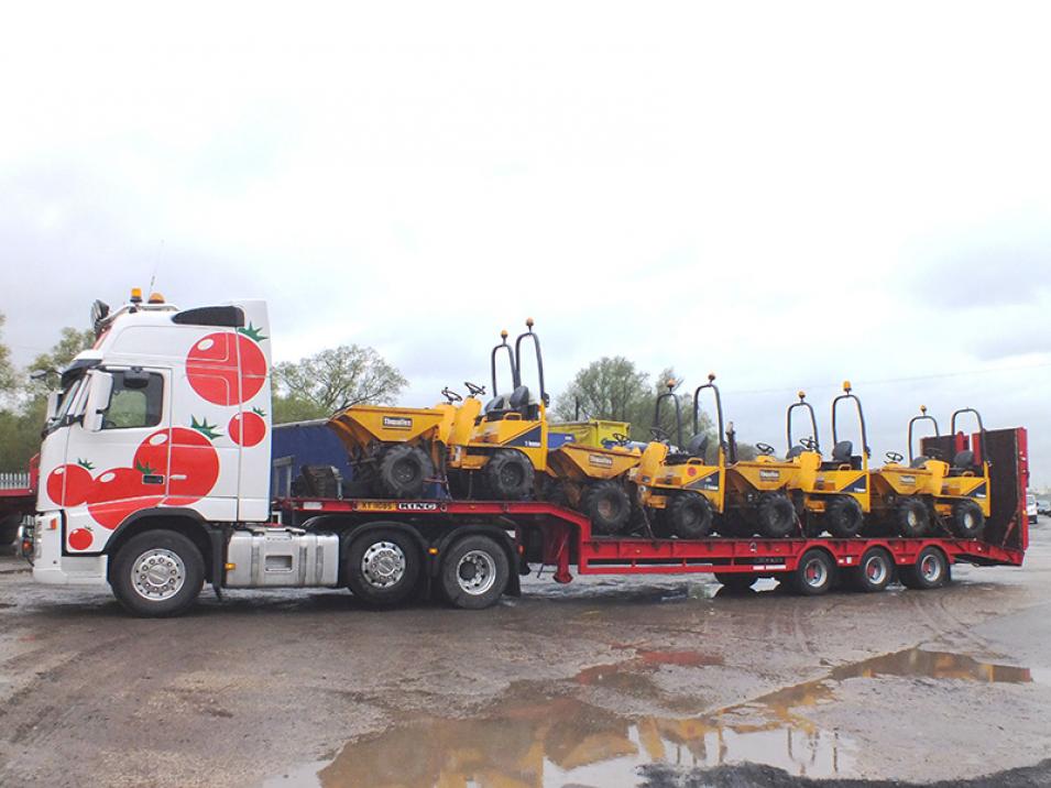 Tomato Plant | Plant Division, 3 Axle Arctic to 35T | Iver, Buckinghamshire & London large 6