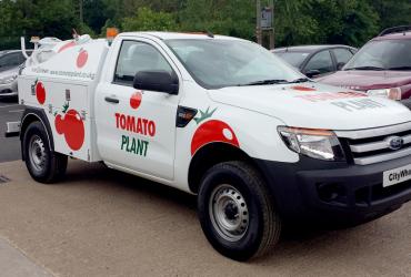 Tomato Plant | Tanker Division, 800 Litre Micro Combi | Iver, Buckinghamshire & London image 1