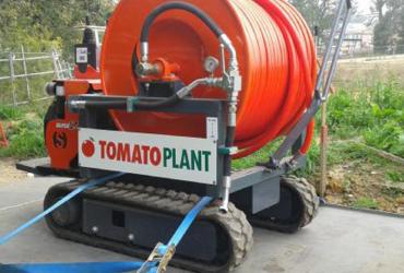 Tomato Plant | Drainage & CCTV Division, Portareel Unit | Iver, Buckinghamshire & London image 1