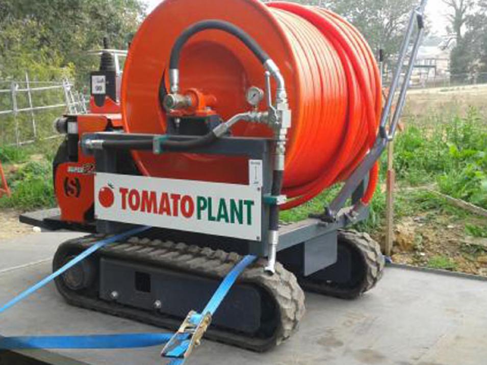 Tomato Plant | Drainage & CCTV Division, Portareel Unit | Iver, Buckinghamshire & London large 1