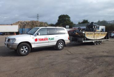 Tomato Plant | Plant Division, 4x4 Towing Vehicles to 3.5T | Iver, Buckinghamshire & London image 1