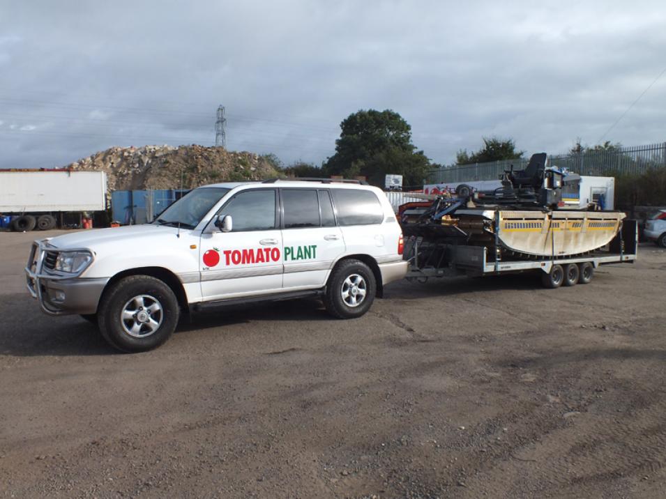 Tomato Plant | Plant Division, 4x4 Towing Vehicles to 3.5T | Iver, Buckinghamshire & London large 1