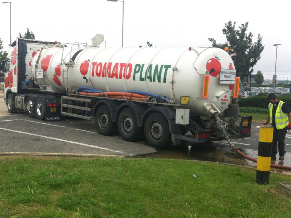 Tomato Plant | Tanker Division, Articulated | Iver, Buckinghamshire & London large 3